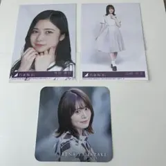 坂道シリーズ 写真セット 山崎怜奈 寺田蘭世