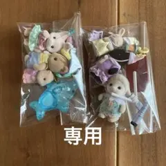 専用