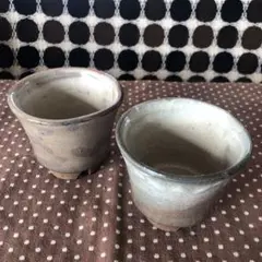 ⑥守繁徹　茶碗 萩焼 平茶碗 (共箱)守繁徹 - 茶道具販売 栗林園
