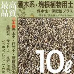 【三本線赤玉土使用】灌木系•塊根植物 コーデックス 用土 10㍑　パキプス 実生のサムネイル