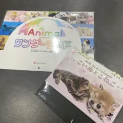 2026年カレンダー アニマル 卓上 壁掛け こいぬとこねこ