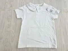 Item thumbnail for item 2e9e560e-1b7e-4955-b9f1-fc8c1a5d8c71