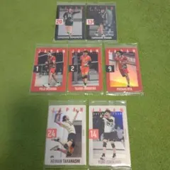 Item thumbnail for item 8a4707fd-0d5e-45d3-9e11-b3b0cf4b2250