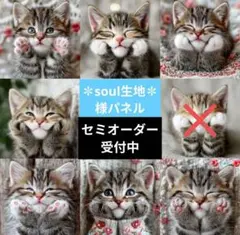 ♡セミオーダー受付中♡　頬杖にゃんこ　猫　485　✽soul✽様パネル