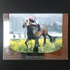 キョウエイマーチ、駿98