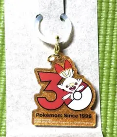 ポケモン　ロゴマスコット　ヒバニー