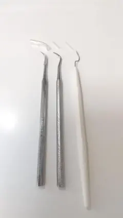 치석 제거제 3종 사용