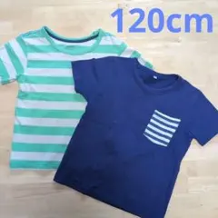 120cmＴシャツ2枚まとめ売　男の子女の子　西松屋　ヒラキ　ボーダー