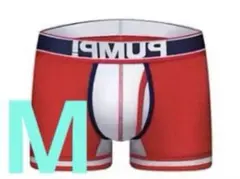 Item thumbnail for item bd503f0b-7e9f-409d-a8f1-01489ea99580