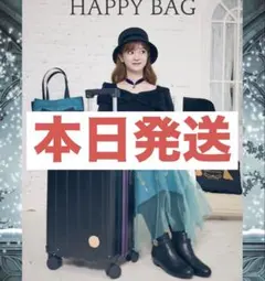 エルサ アナ雪 コラボ しまむら ちはる ハッピーバック キャリーケース