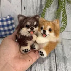 まんまるあにまるず 羊毛フェルト うちの子オーダー ペット マスコット