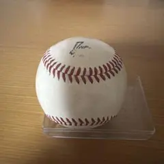 Item thumbnail for item ec1c2ed8-d93c-4822-ba54-eab943af07ce