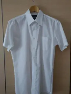 Item thumbnail for item 8849537f-f9d8-4326-81b3-a5749ebf6031