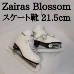 Item thumbnail for item bd12aaf5-9d8f-4856-8b47-d15b12a18a59