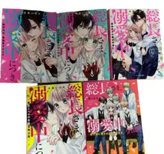 総長さま溺愛中につき。