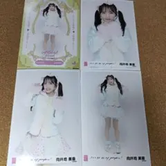 向井地美音