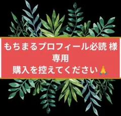 【タグ付き未使用】スウェットパーカー ちいかわ ハチワレ ラッコ GU XL