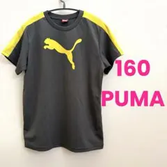 プーマ PUMA Tシャツ 半袖 160 速乾 グレー スポーツ 運動