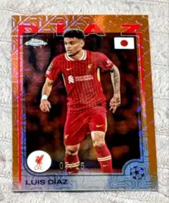 Item thumbnail for item 8e2ab7cb-8900-4a81-b28f-39ceac52901b