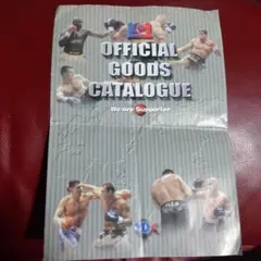 Item thumbnail for item 385a9ab6-da40-42c0-b3f1-9bb49307527e