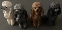 フルタ　チョコエッグ　ペット動物　第3弾　プードル　フィギュア　4体　セット