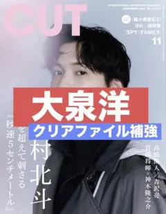 ドル誌切り抜き　一冊丸々購入有り 雑誌600冊を解体した話｜sakusaku-note