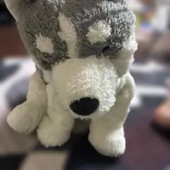 Item thumbnail for item 83e8c398-d879-40f8-8cf6-5945c7d039c4