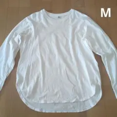 Item thumbnail for item 448bf184-1827-4ebe-ad10-67d70a4680d8