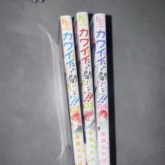 カワイイなんて聞いてない!! 02-04 セット