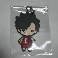 2025年最新】黒尾鉄朗ラバストの人気アイテム - メルカリ