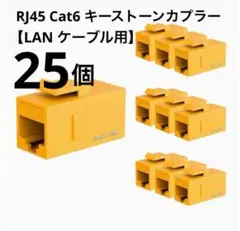 iwillink RJ45 Cat6 キーストーンカプラー LAN ケーブル用