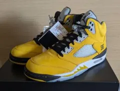Air Jordan 5 イエロー替え紐付き