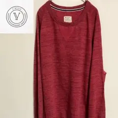 チャンピオン スウェット ビンテージ ビックサイズ レアカラー ラグラン袖