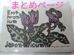 眠り猫様 リクエスト 6点 まとめ商品