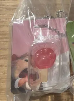 ズートピア ブリスターチャームコレクション