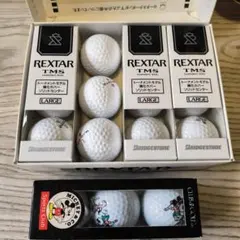 レクスター ゴルフボールセット