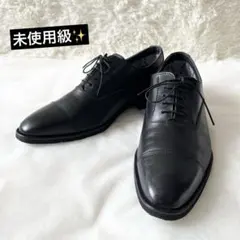 未使用級✨リーガル ゴアテックス ビジネスシューズストレートチップ ブラック