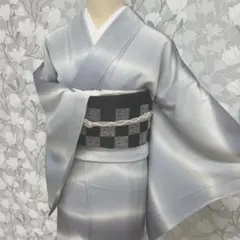 正絹 夏きもの 竪絽暈し訪問着 おしゃれ着 【田村哲彦】