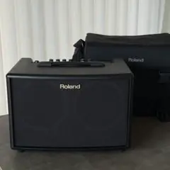 2025年最新】roland ac 60の人気アイテム - メルカリ