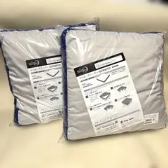 True Sleeper 低反発座布団 2個セット　未使用　未開封　1605のサムネイル