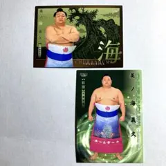 Item thumbnail for item 1774cc20-34f8-47ae-930d-e687976999a2