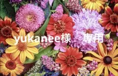 yukanee様　専用R