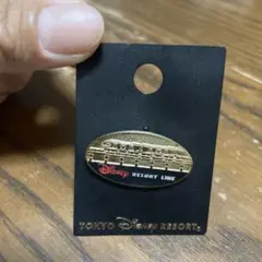 ディズニーリゾートラインTDR30周年記念ピンバッジ TDR30周年記念 ピンバッジセット