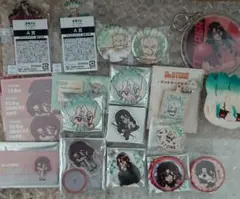 Dr.STONE ドクスト 石神千空 缶バッジ 秋の読書編 - メルカリ