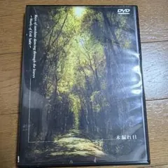 木漏れ日 ～エリック・サティ作品集～ 美野春樹 DVD