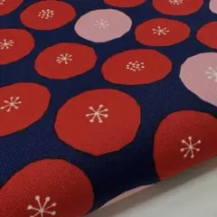 Item thumbnail for item 45fabf7f-094c-4719-9e7c-43b9144f1be7