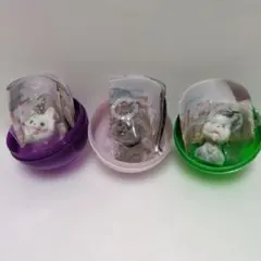 【新品未使用】めじるしチャーム べびわんこ3種セット　ぽめ　といぷー　よーきー