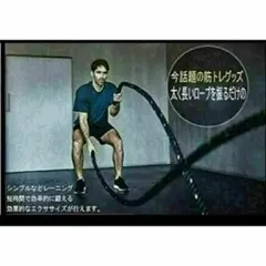 APPEX （アペックス）テニスラケット ガット張り機 分銅式 - メルカリ