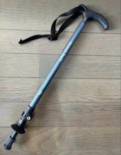 Item thumbnail for item e8fab7e2-c789-4123-934e-137186442007