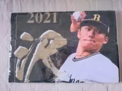 Item thumbnail for item 96e80bba-de8d-474a-b55c-f0bd961c2774